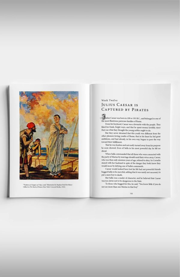 Copper Lodge Library: EMPERORS OF ROME on Sale - Image 3