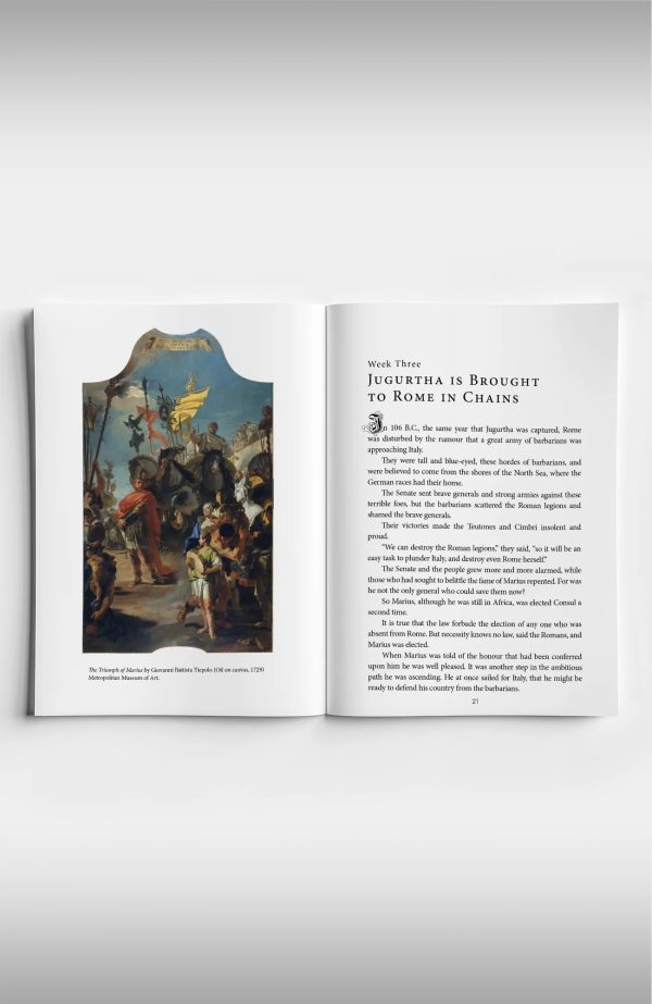 Copper Lodge Library: EMPERORS OF ROME on Sale - Image 4